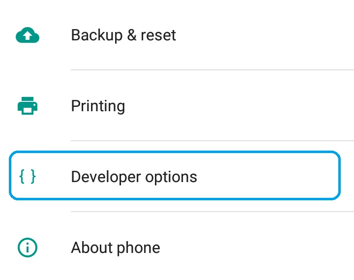 Developer Options under Settings