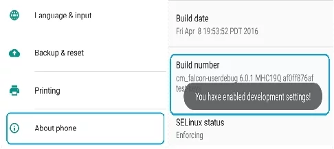 Enable Developer Options