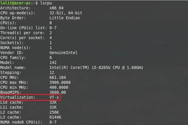 lscpu virtualization check