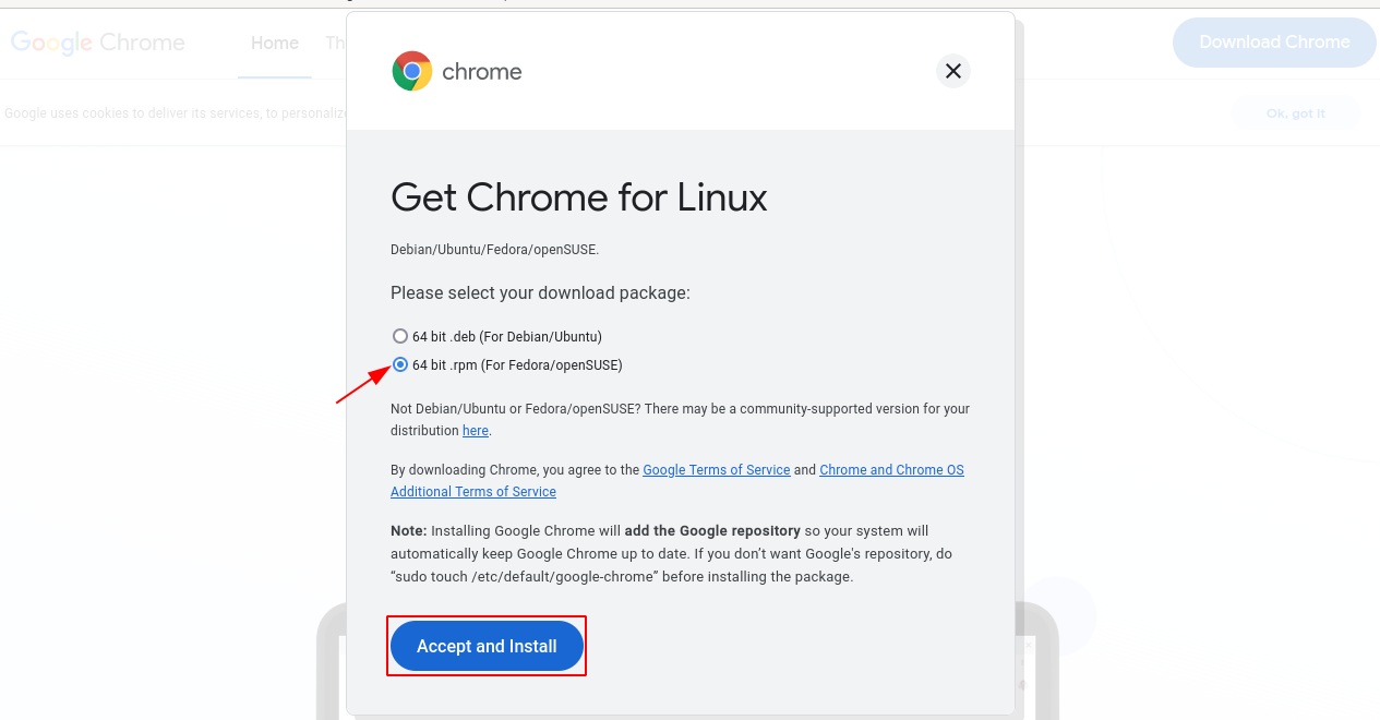 google chrome download page