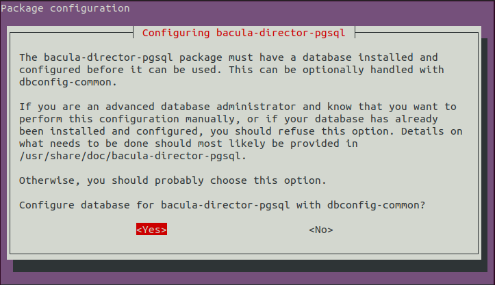 configure database bacula