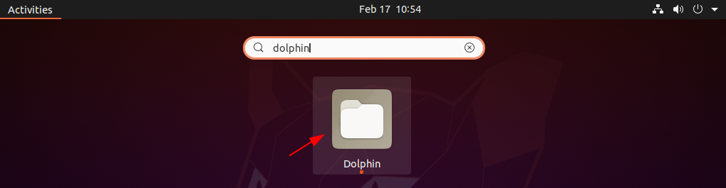 open dolphin