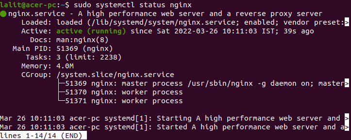 nginx service status
