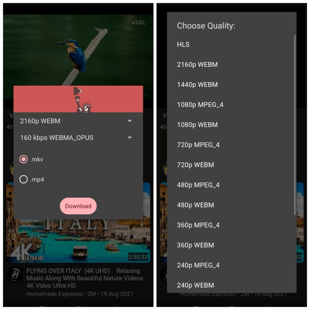 stream & download youtube videos