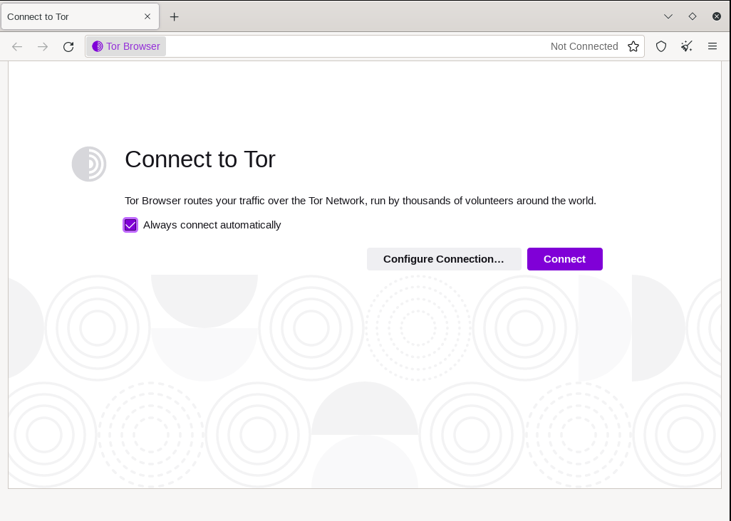 tor browser window